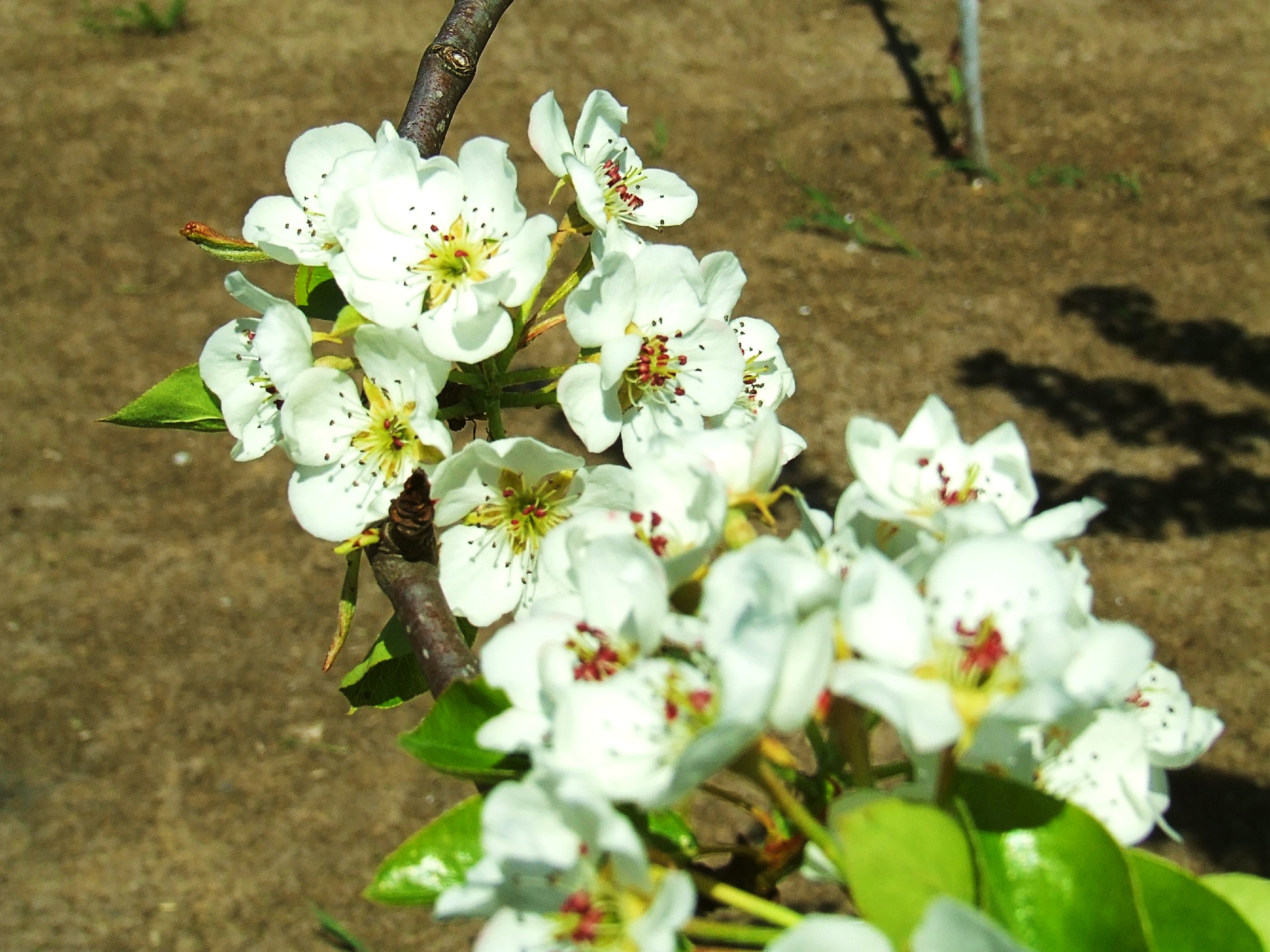 Zdj nr 11 Przyroda budząca się do życia