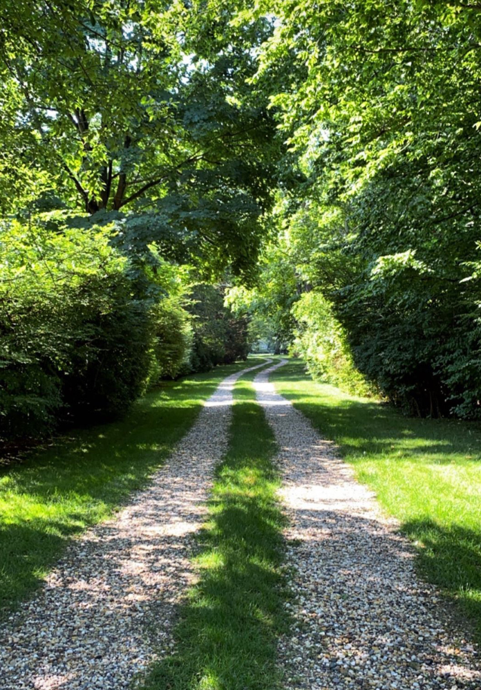 Zdj nr 3 Droga leśna