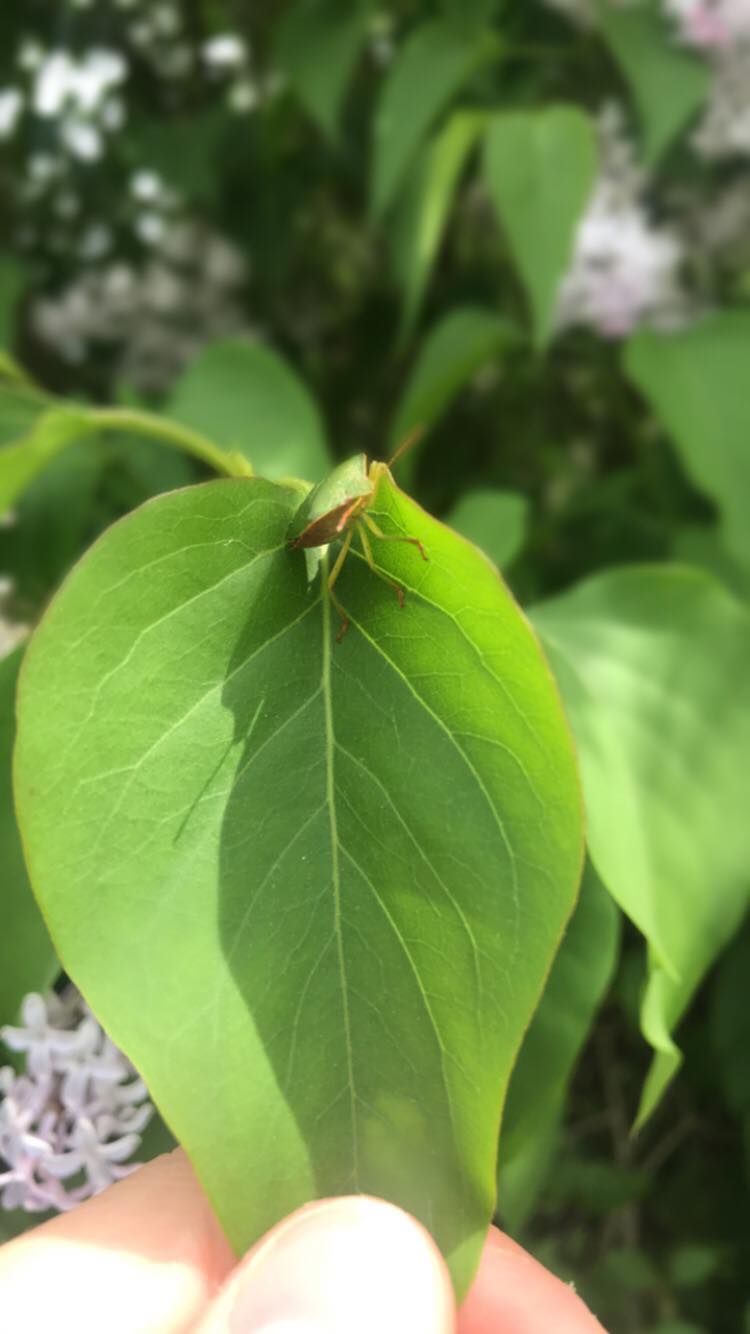 Zdj nr 15 Na łonie natury