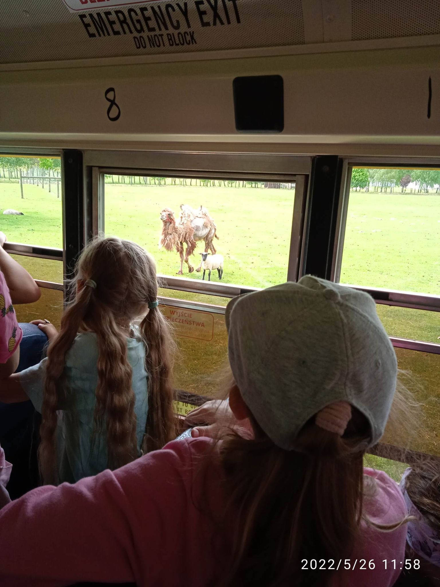 283313694_386605903516423_4450794426774384366_n