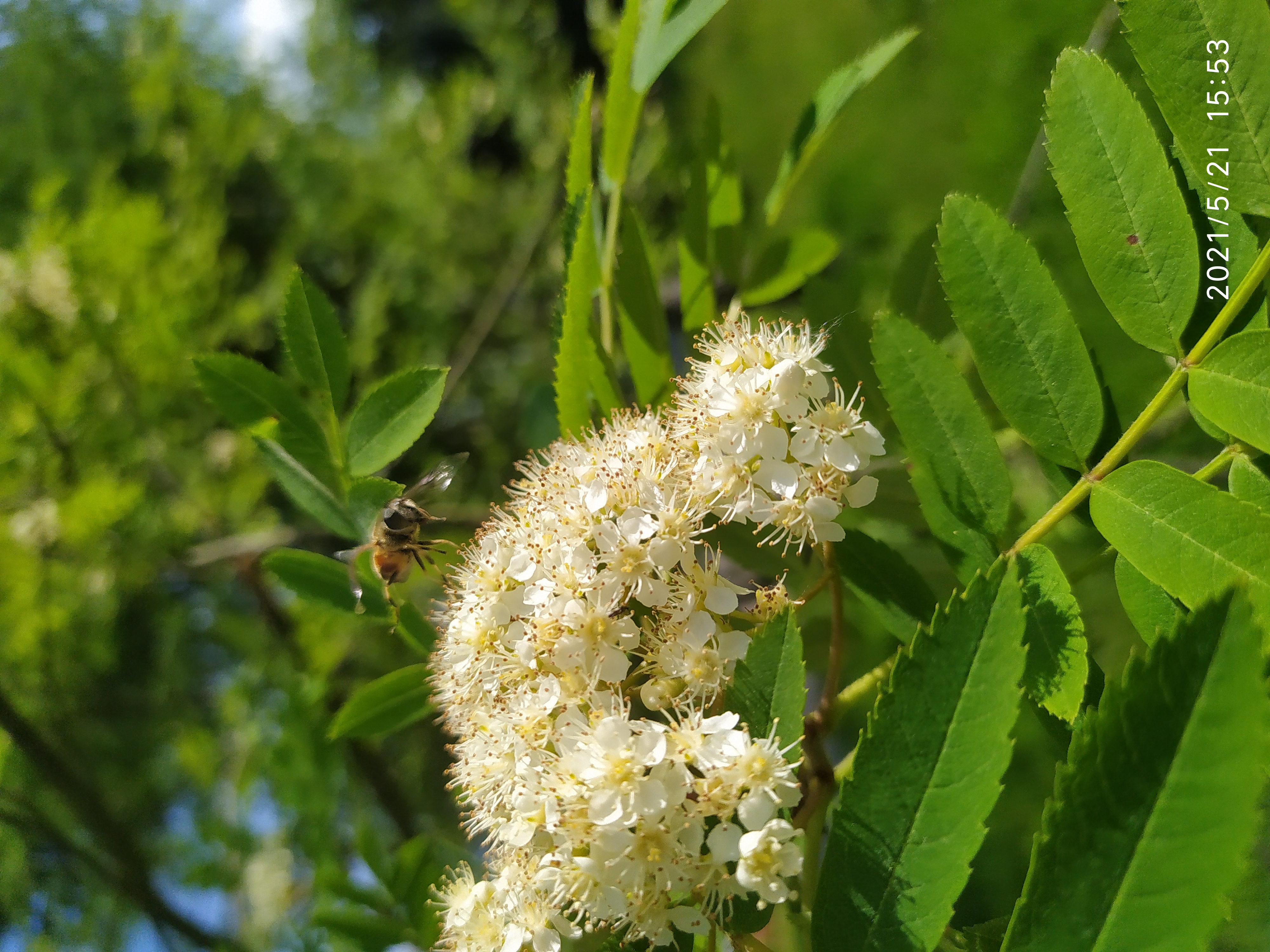 Zdj nr 1 Doceniajmy tak małe chwile w objęciach natury