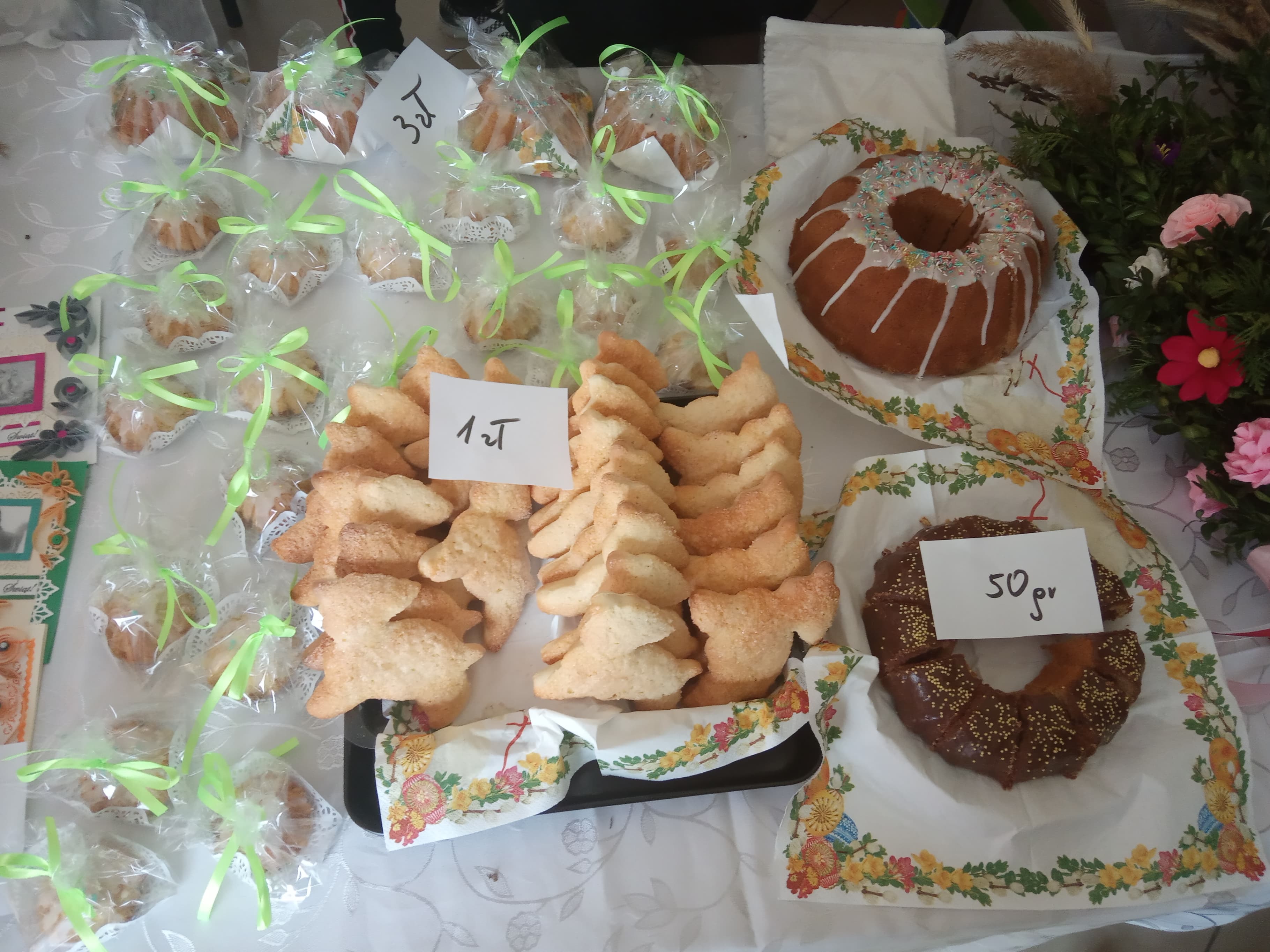 56977053_535717896954661_4367220087711596544_n — kopia