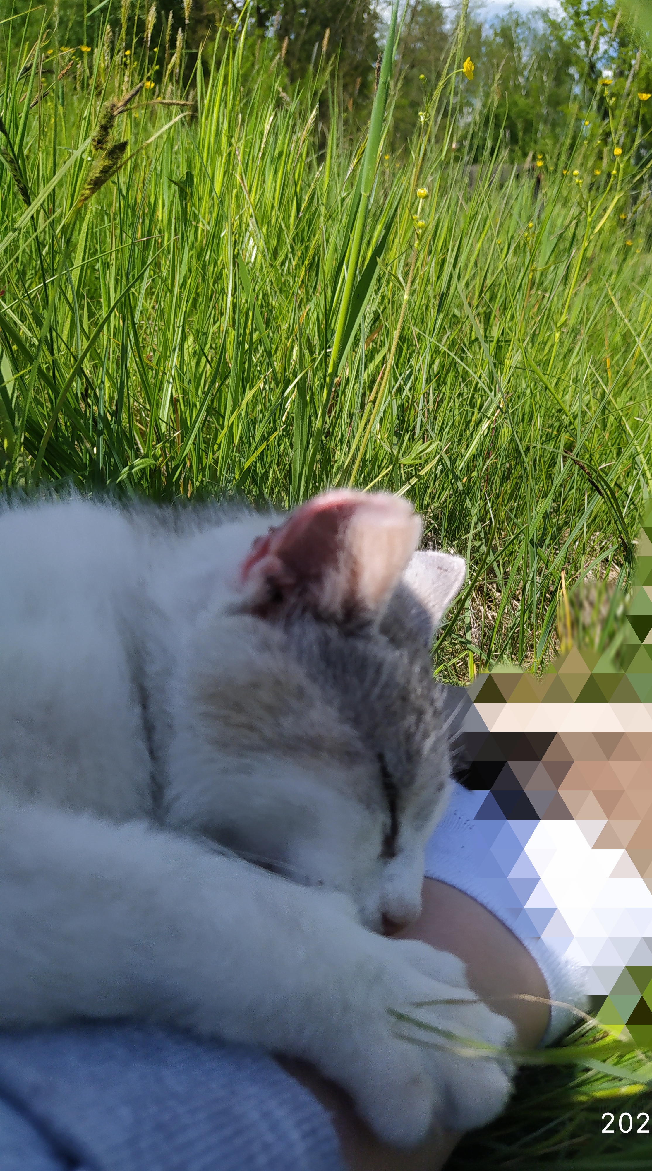 Zdj nr 2 Doceniajmy tak małe chwile w objęciach natury