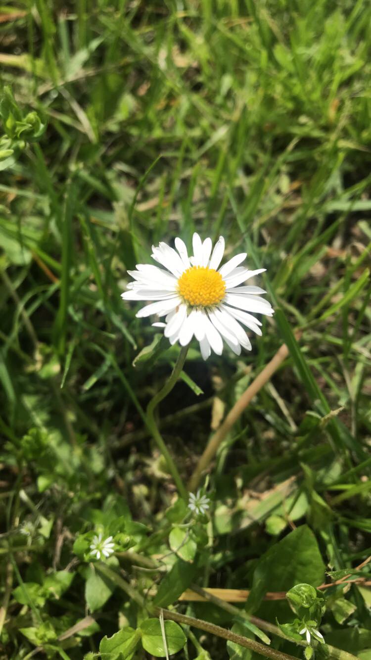 Zdj nr 9 Na łonie natury