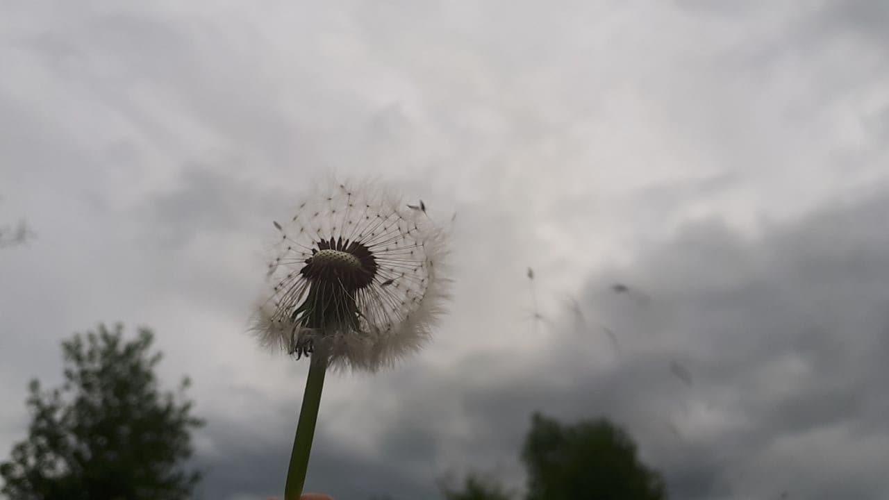 Zdj nr 7 Lato już leci