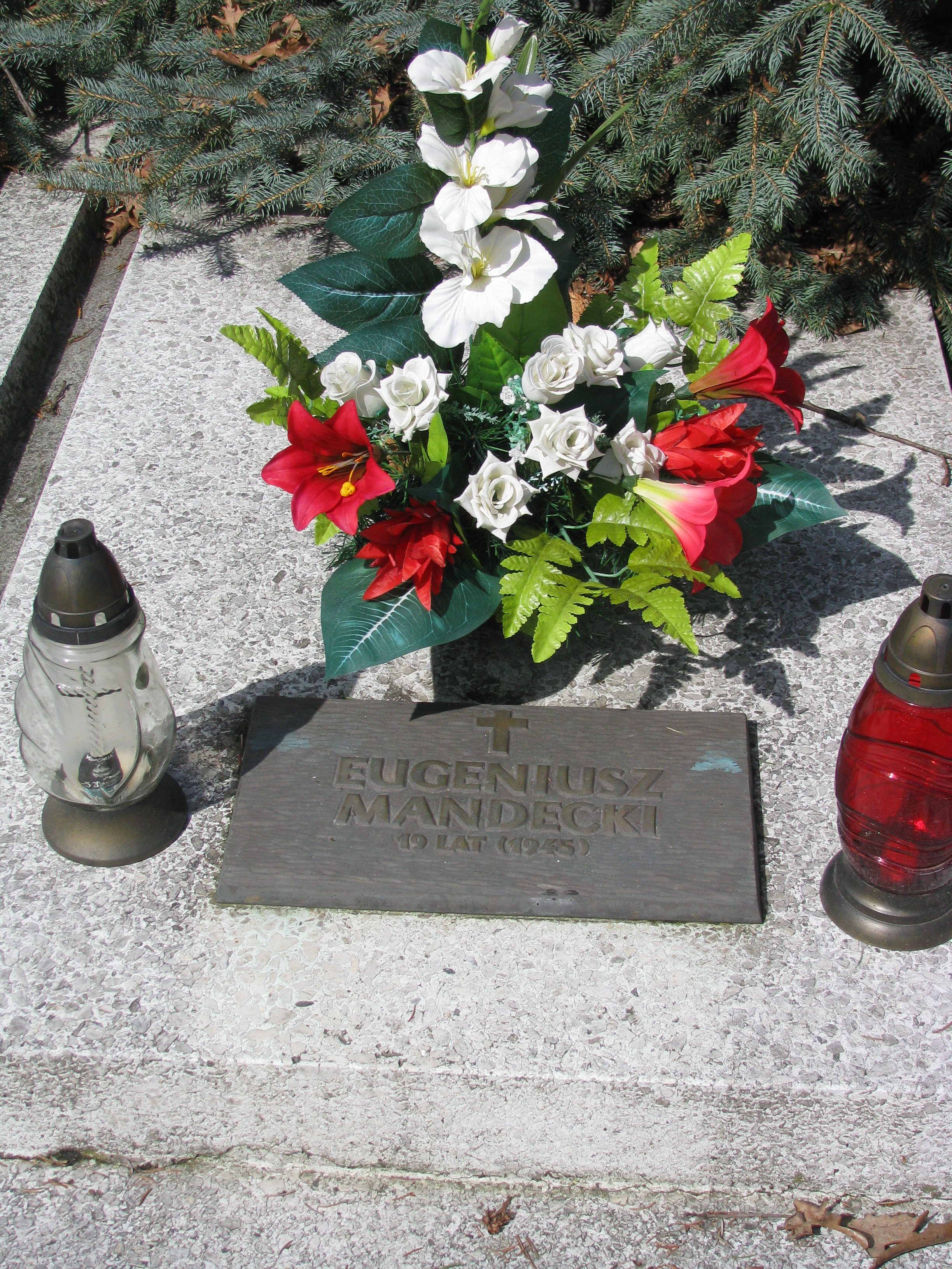 100 rocznica odzyskania przez Polskę niepodległości połączona z 71 rocznicą powstania patriotycznej organizacji młodzieżowej „Orlęta” w Rudniku nad Sanem